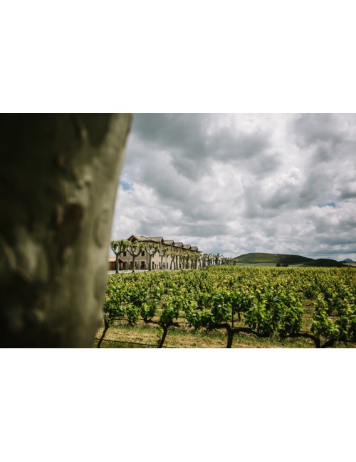 Viñedos Premium Cuvée Bodega Otazu