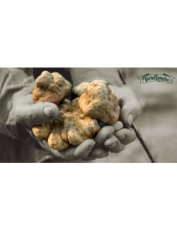 Aceite de Oliva Virgen Extra con Trufa Blanca - Tartuflanghe