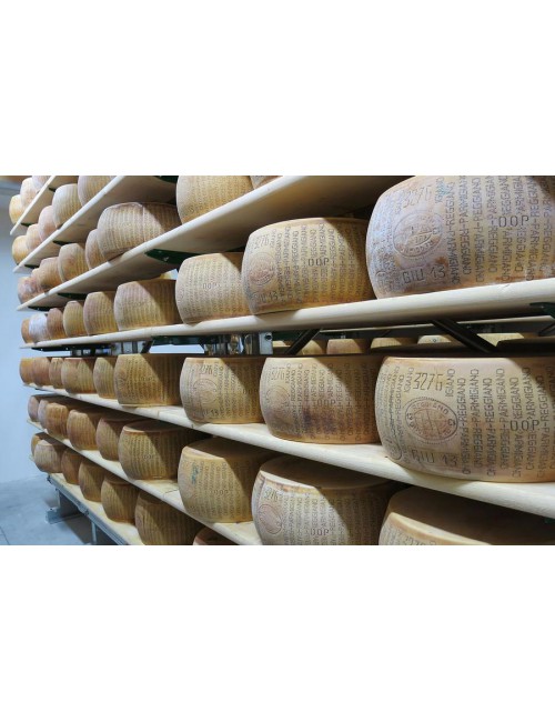 Parmesano Reggiano DOP Artesano 36 meses – Montecoppe
