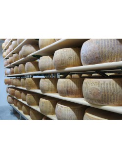 Parmesano Reggiano DOP Artesano 24 meses – Montecoppe