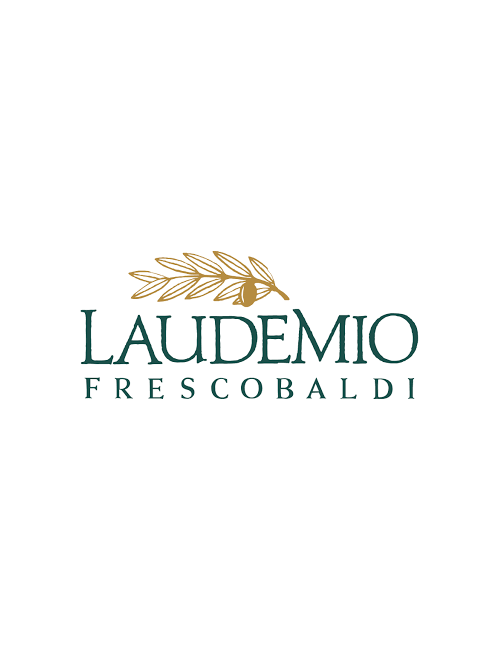 LOGO LAUDEMIO