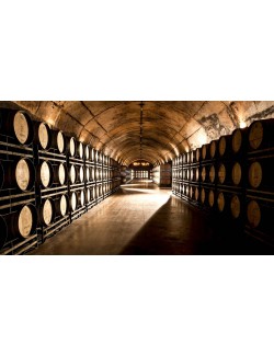 Jean Leon Vinya Gigi Chardonnay Ecológico